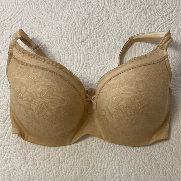 Cacique Other - Cacique— Lightly Lined Balconette
